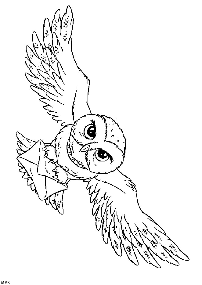 harry potter023